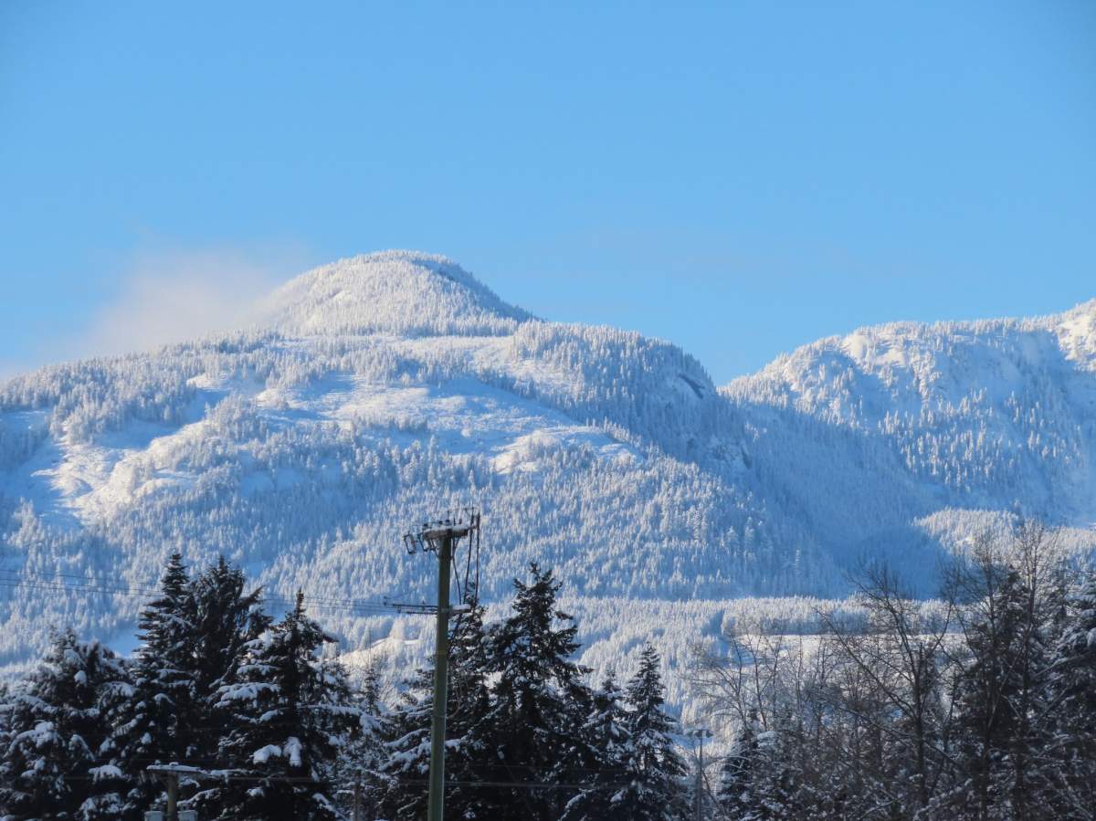 Courtenay.
