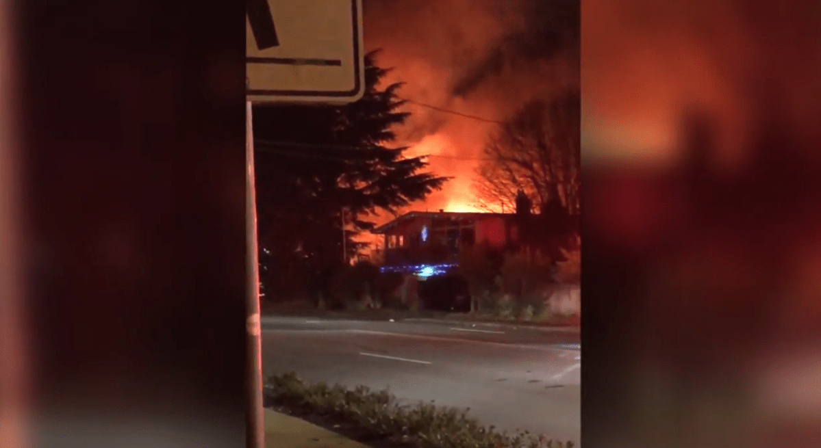 A man has pleaded guilty in a 2020 arson fire that destroyed three businesses in Delta. 