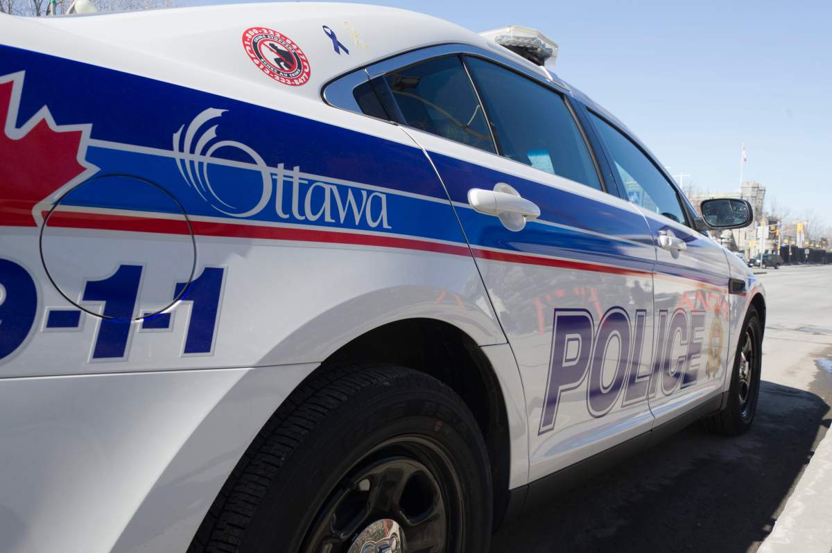 Homicide investigation underway in Ottawa’s south end; two in custody - image