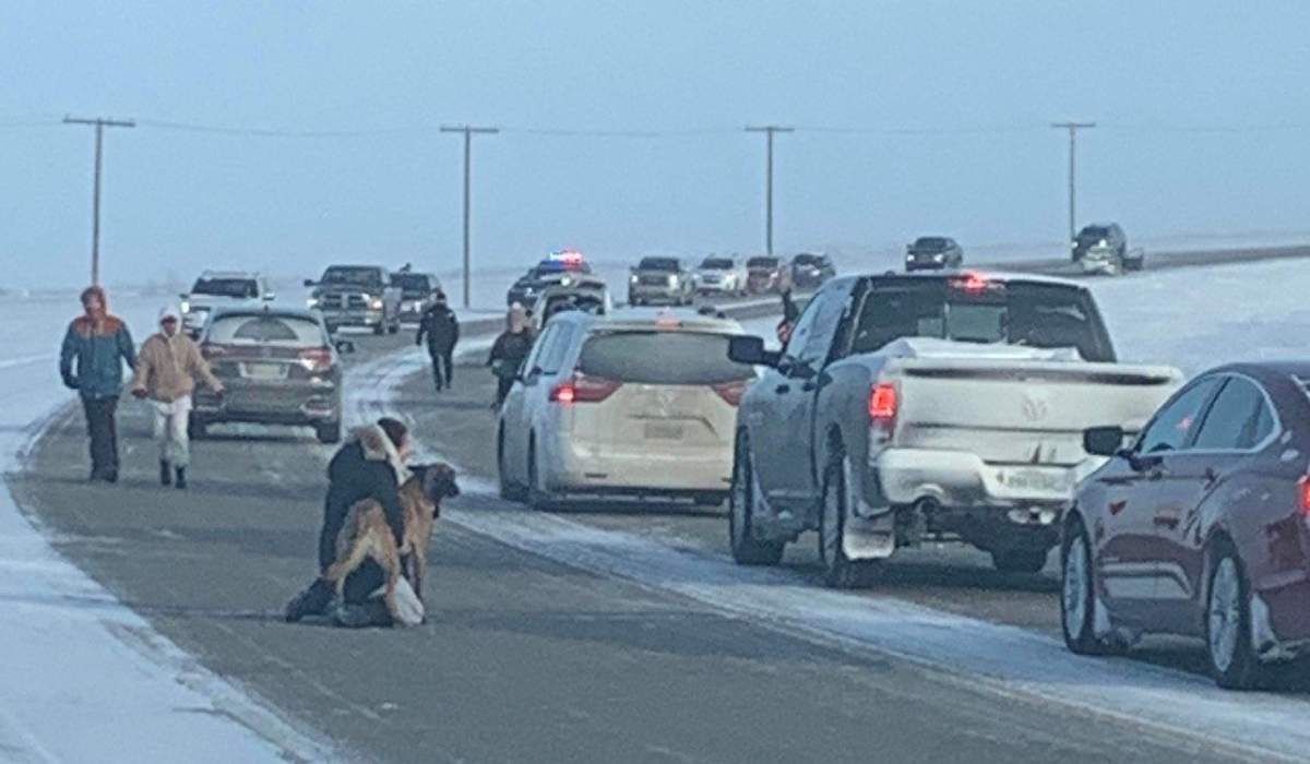 A missing dog in Saskatoon brings the community together in a four-day search. 