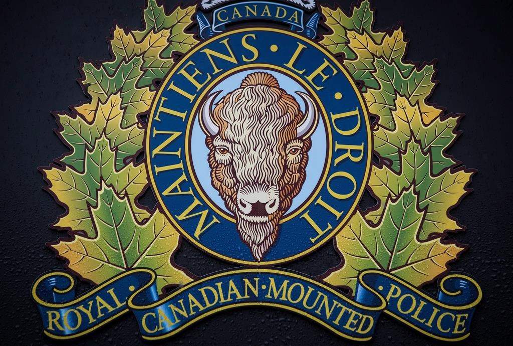 72-year-old man dead after snowmobile crash in RM of Springfield - image
