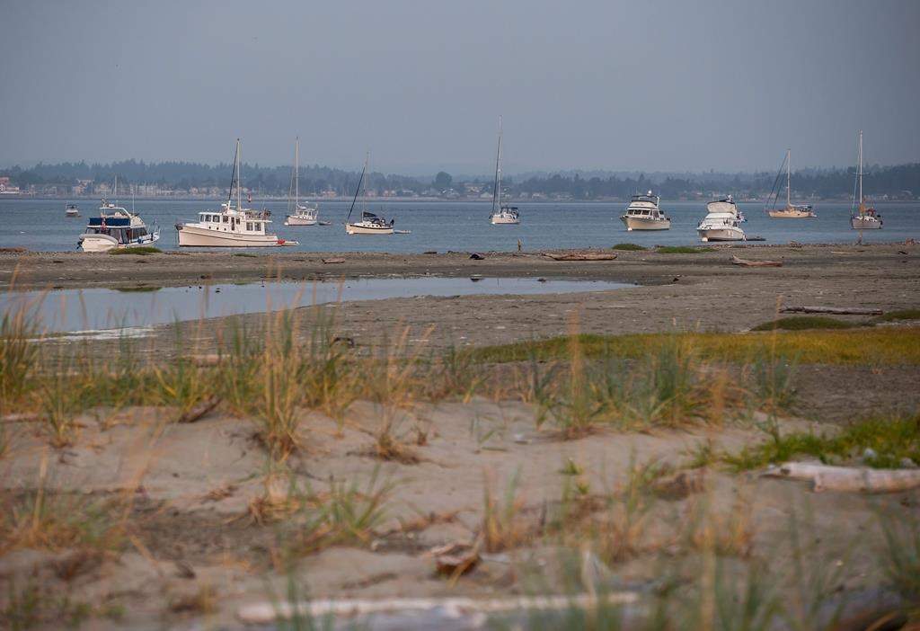 Boats are seen anchored in the waters off Sidney Spit in the Gulf Islands National Park Reserve east of Sidney, B.C., on Saturday August 5, 2017. Students and crew were safely rescued after an engine fire occurred on a passenger vessel that regularly serves as the local marine school bus for the southern Gulf Islands.