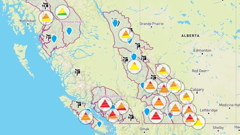 For Avalanche Canada, the winter of 2021-22 is proving to be a busy one, with the B.C.-based organization having issued many warnings across the province this year.