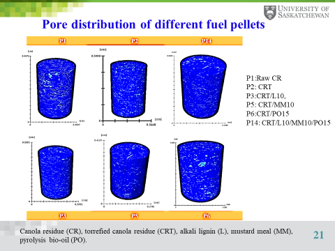 The tomography of canola meal pellets taken at the Canadian Light Source at the University of Saskatchewan.