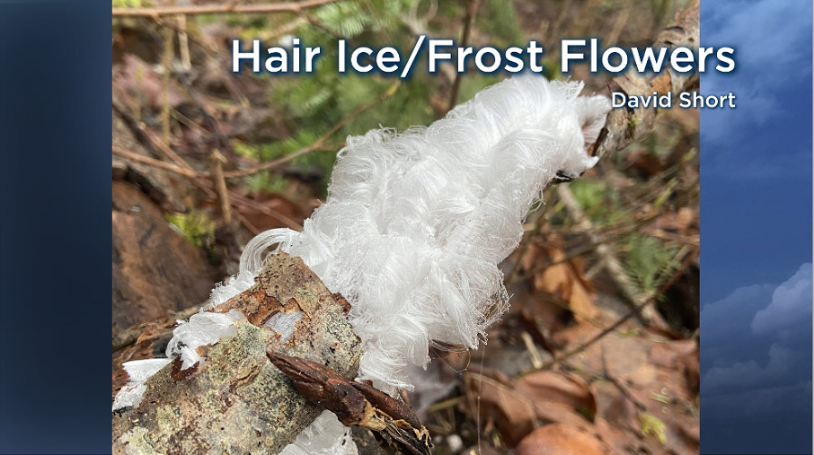 Frost Flowers