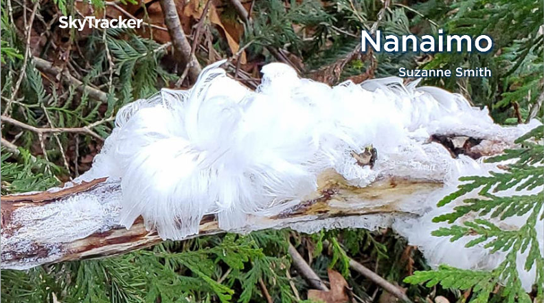 Frost Flower