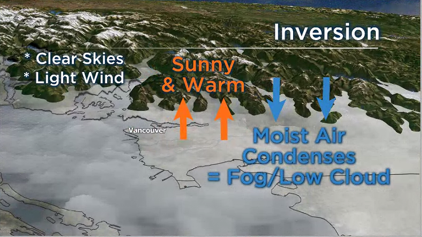Inversion & Radiation Fog