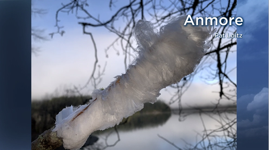 Frost Flowers