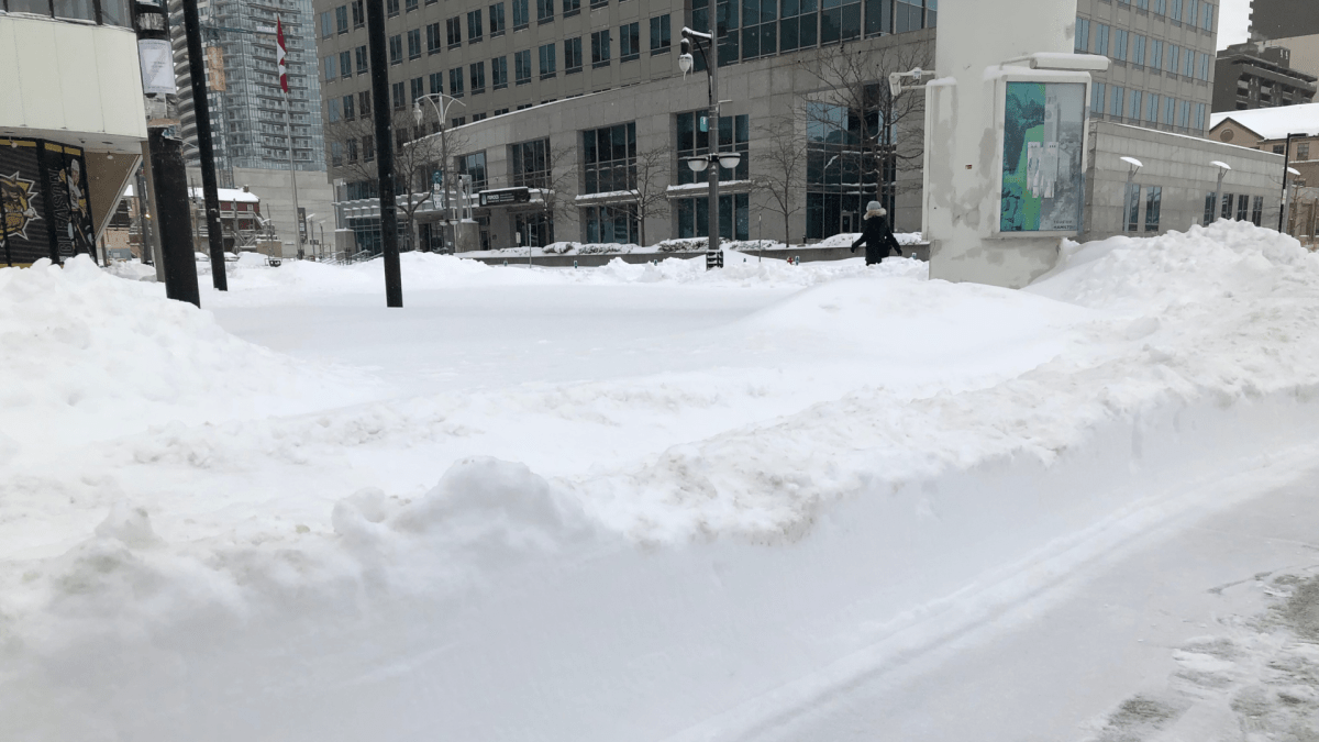 Hamilton-Snow-York-Bay-Jan-17-2022