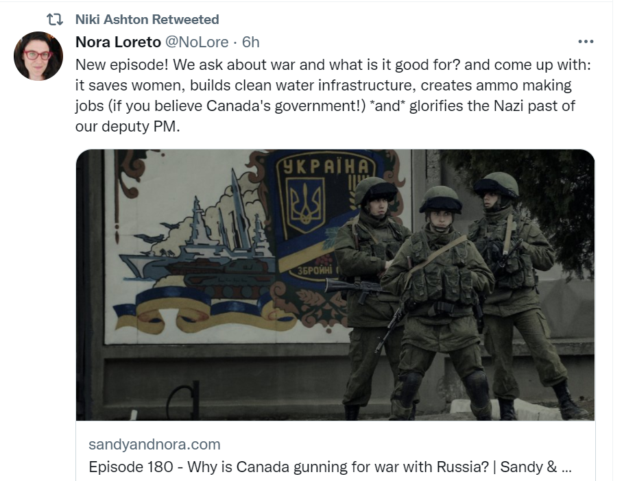 NDP MPs criticized for ‘terrible’ social media comments on Ukraine-Russia crisis - image
