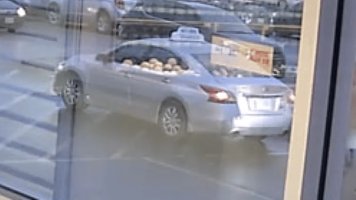 The suspect vehicle is described as a 4-door sedan with a ‘fake’ taxi sign on the roof. The vehicle is believed to be a 2014 Silver Nissan Altima.
