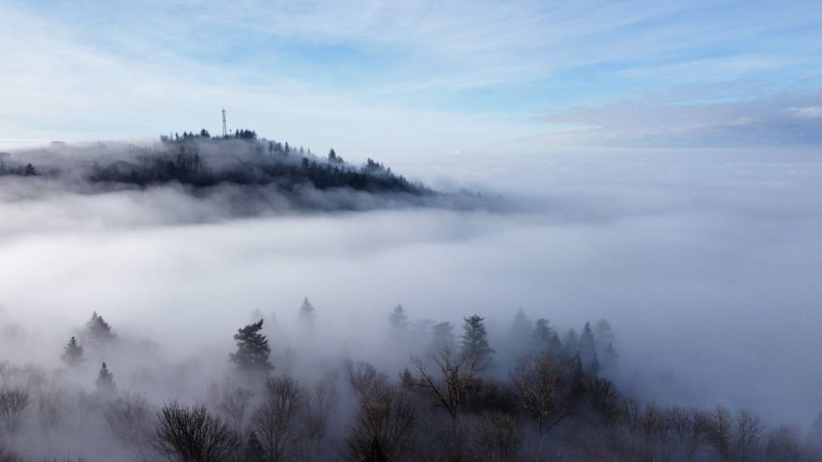 Lower Sumas Mountain.