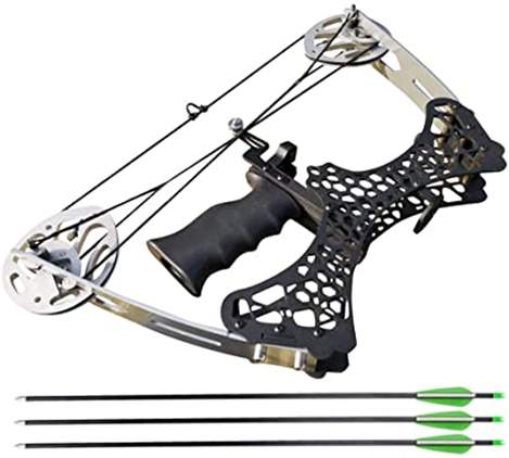 Peterborough police believe squirrels are being shot with a small bow and arrow kit like this one.