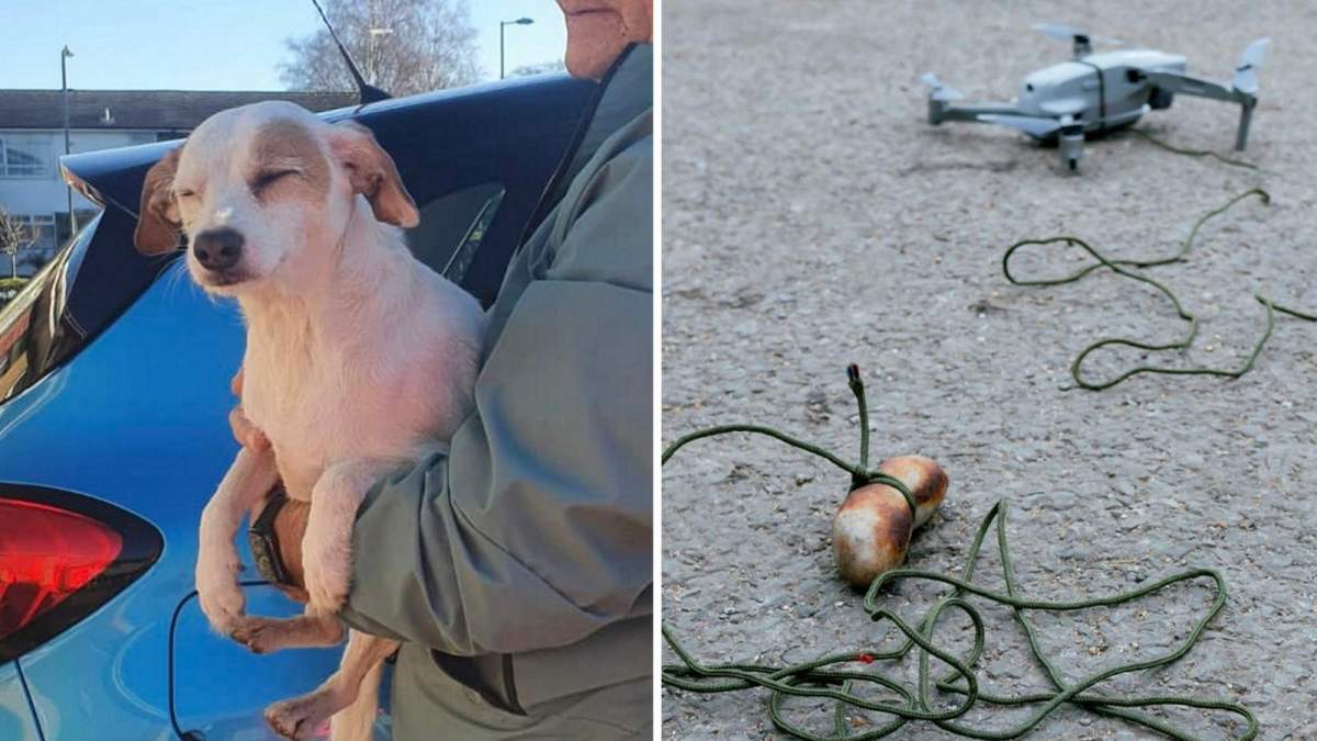 a split photo of the dog and the drone with the sausage attached.