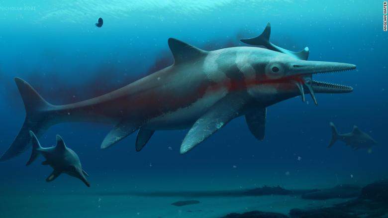 An artist's reconstruction of the fossil, nicknamed the "Rutland Sea Dragon."