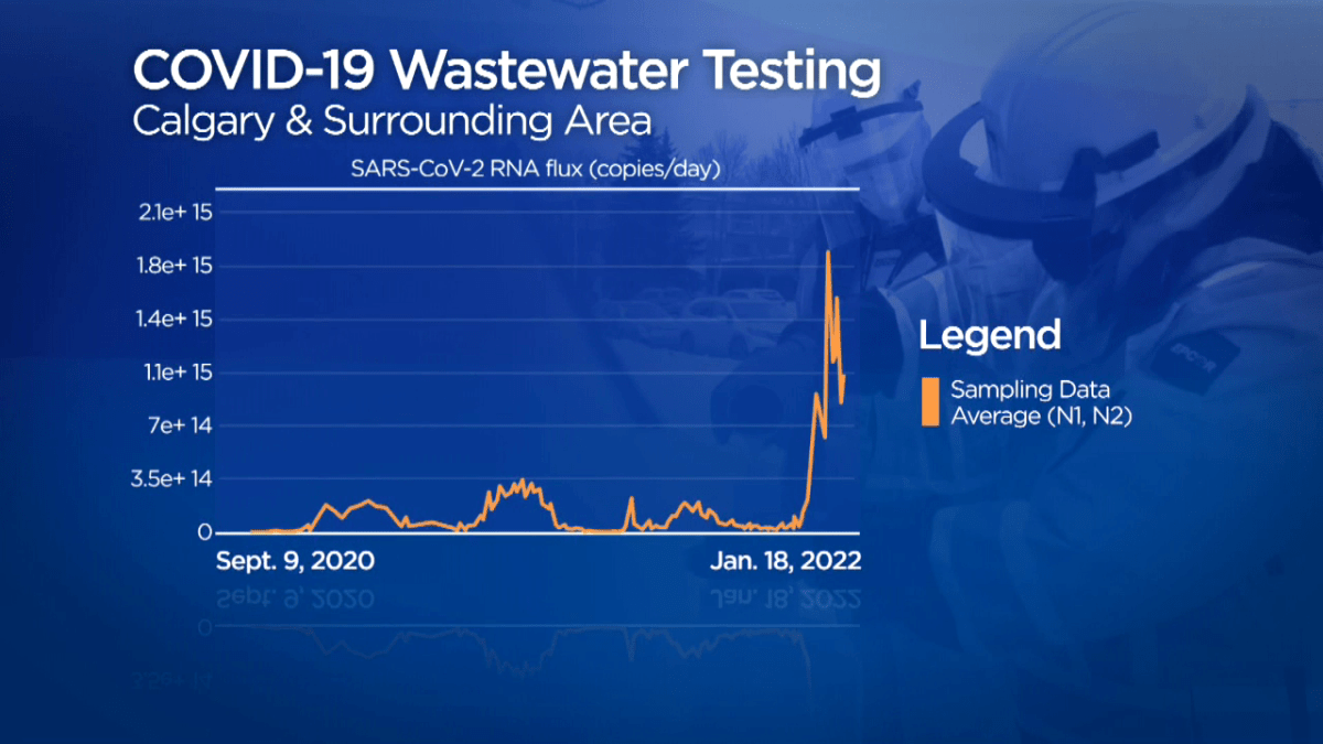 A graph of COVID-19 prevalence in Calgary and area wastewater since the University of Calgary started tracking it.