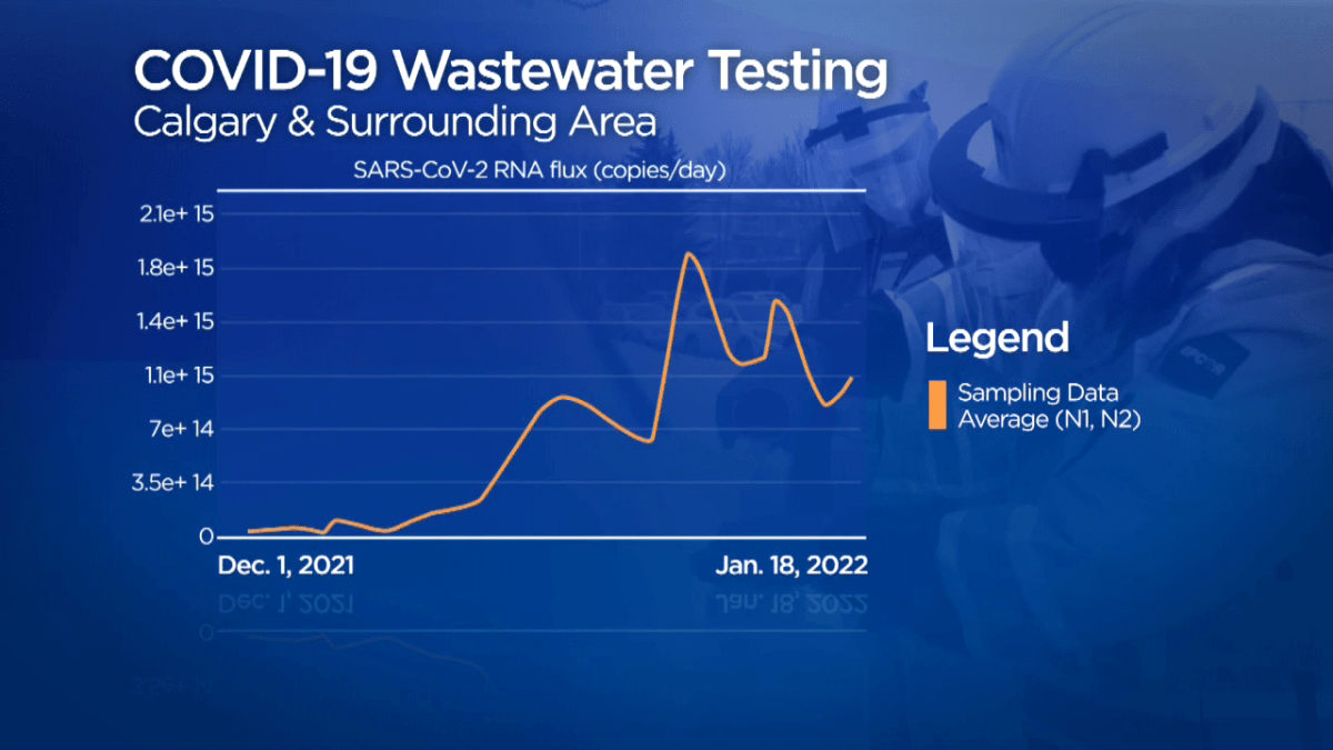 A graph of COVID-19 prevalence in Calgary and area wastewater since the beginning of December.