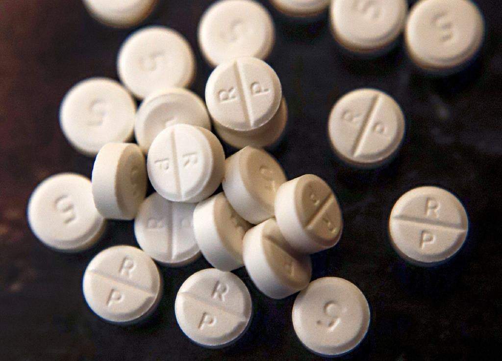 FILE - This June 17, 2019, file photo shows five-milligram pills of oxycodone.