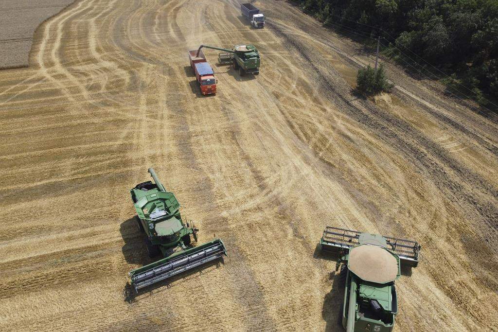 ukraine war rising costs