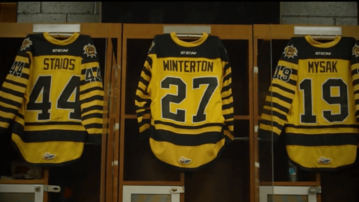 The Hamilton Bulldogs will host an outdoor game against the Oshawa Generals at Tim Hortons Field on March 14th, 2022.