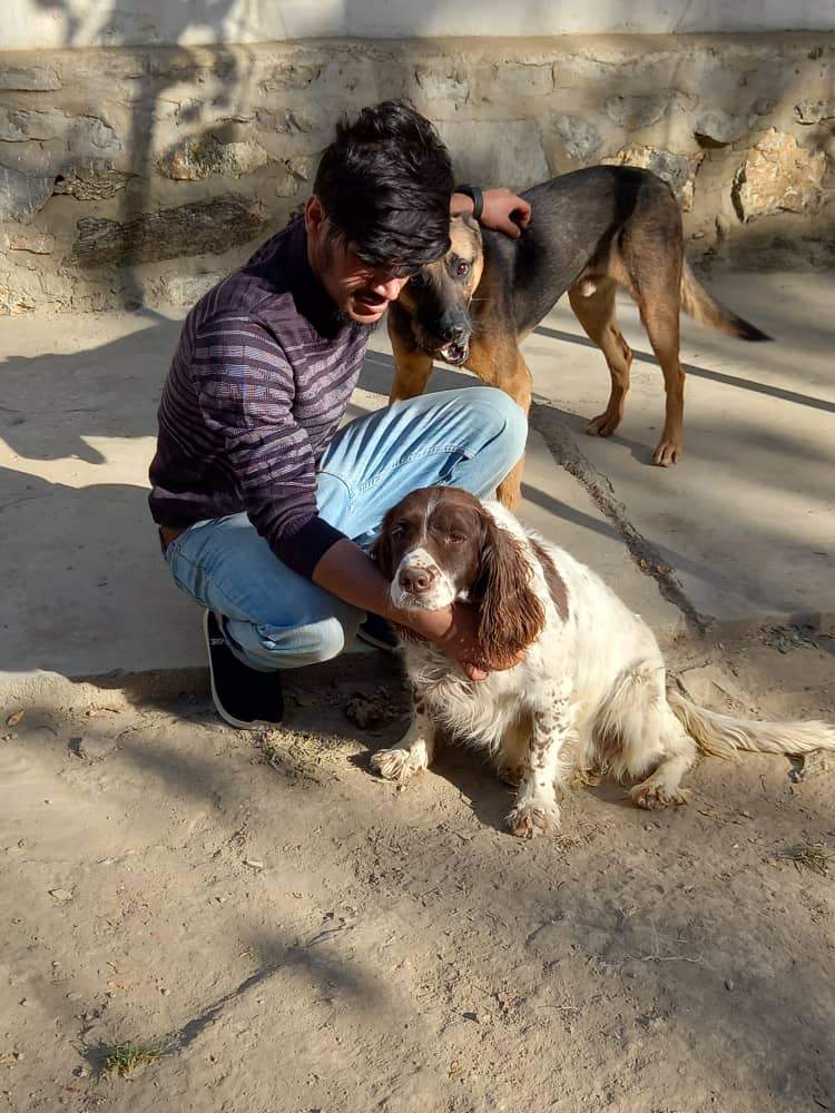 Kabul Small Animal Rescue
