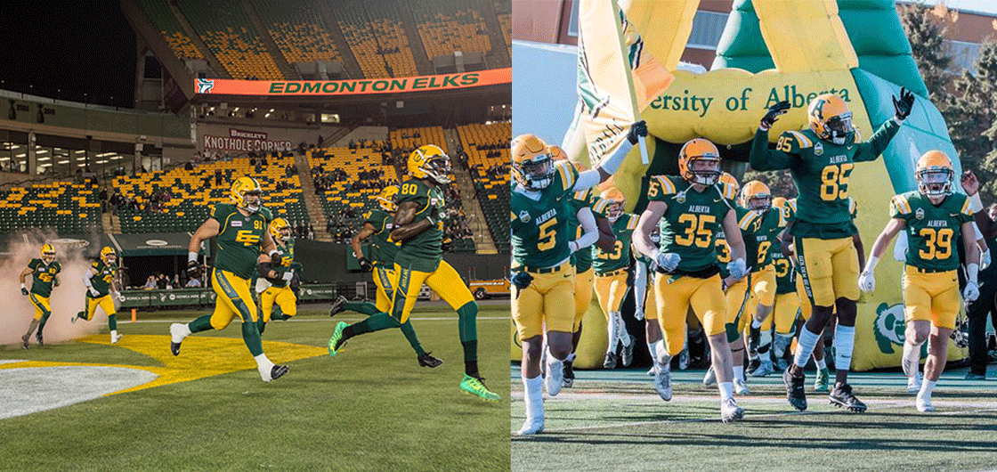 Edmonton Elks Golden Bears doubleheader