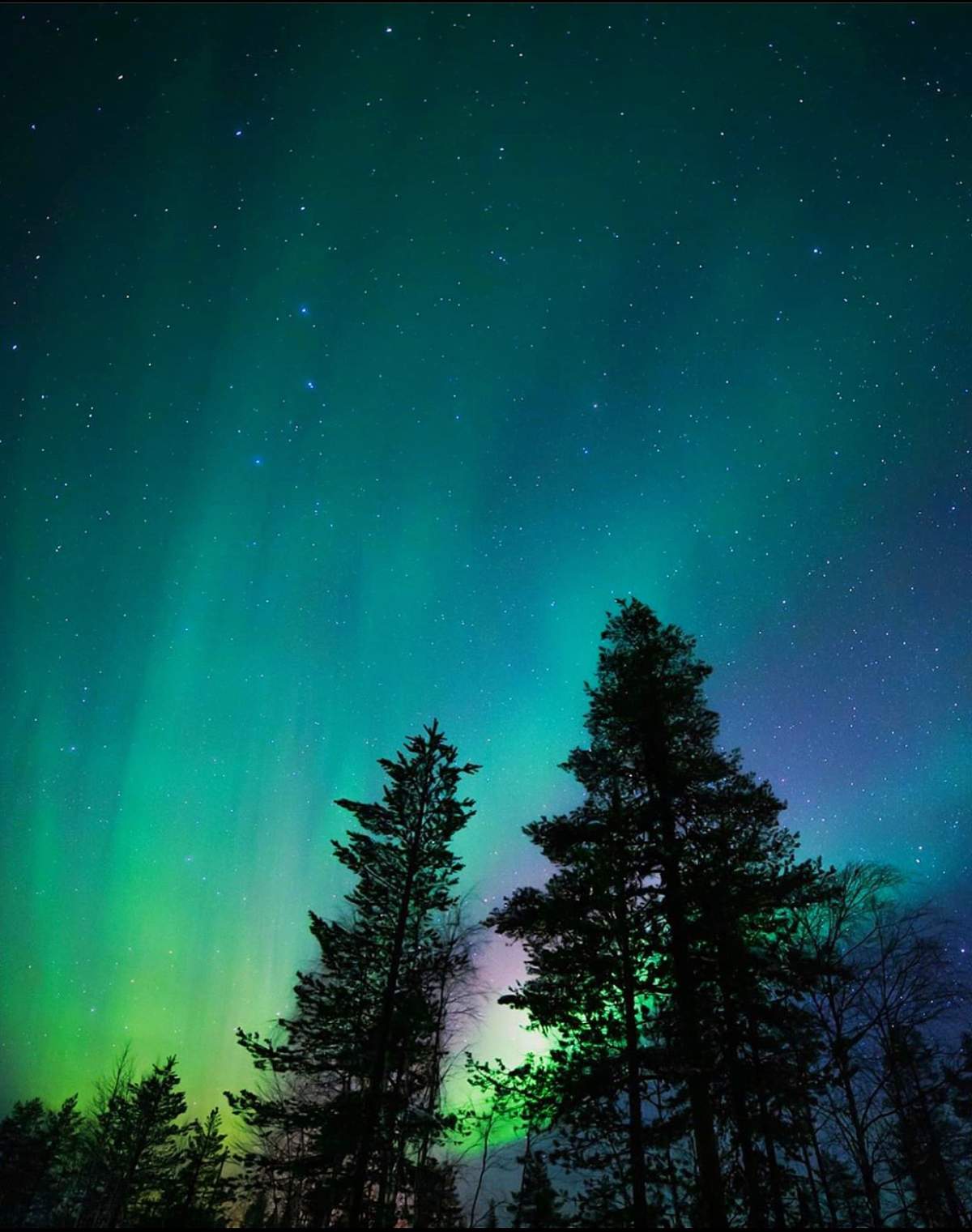 Your Saskatchewan Northern Lights Prince Albert