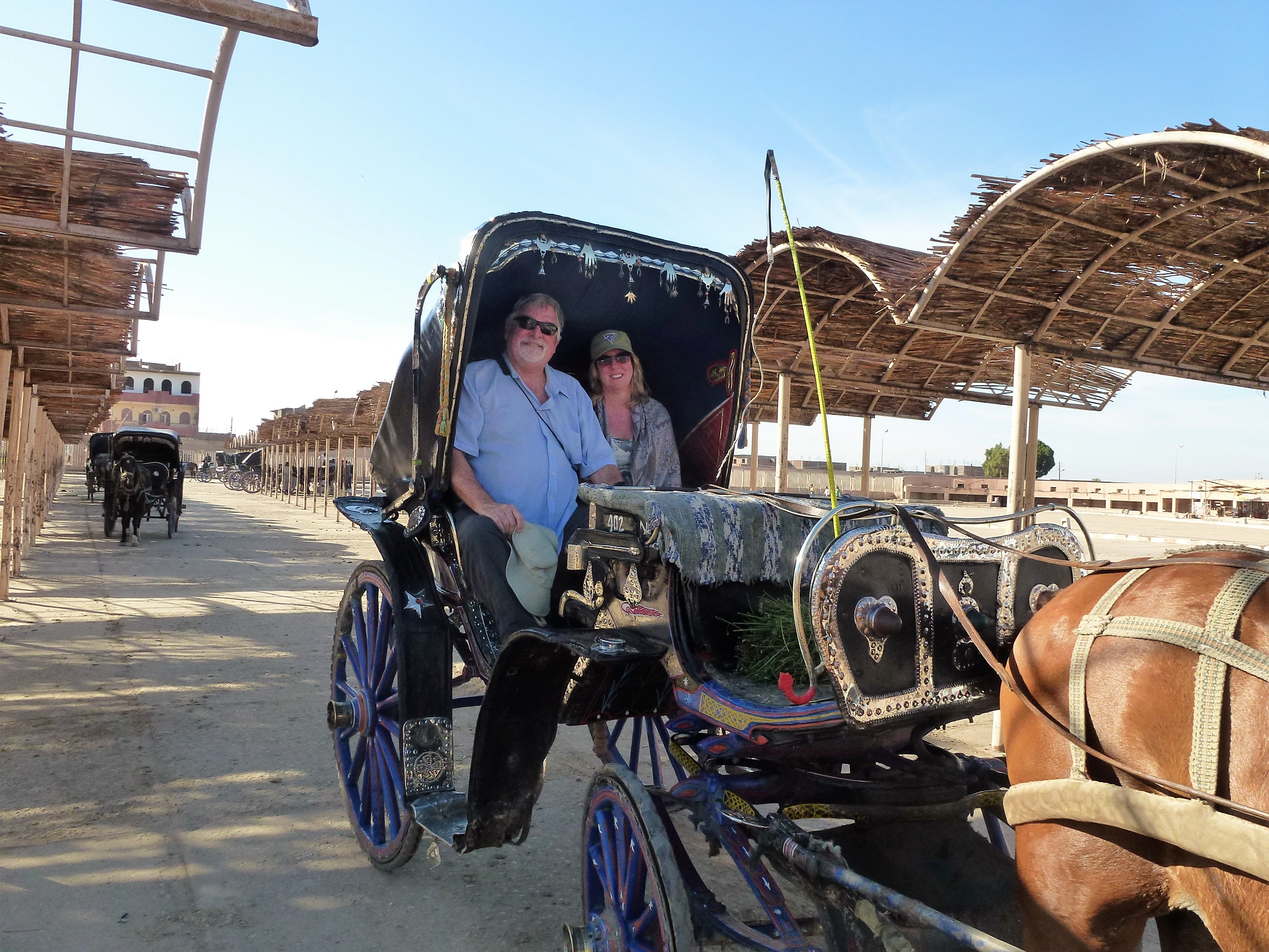 Steffanie Strathdee and her husband, Tom Patterson, on vacation in Luxor, Egypt in 2015.