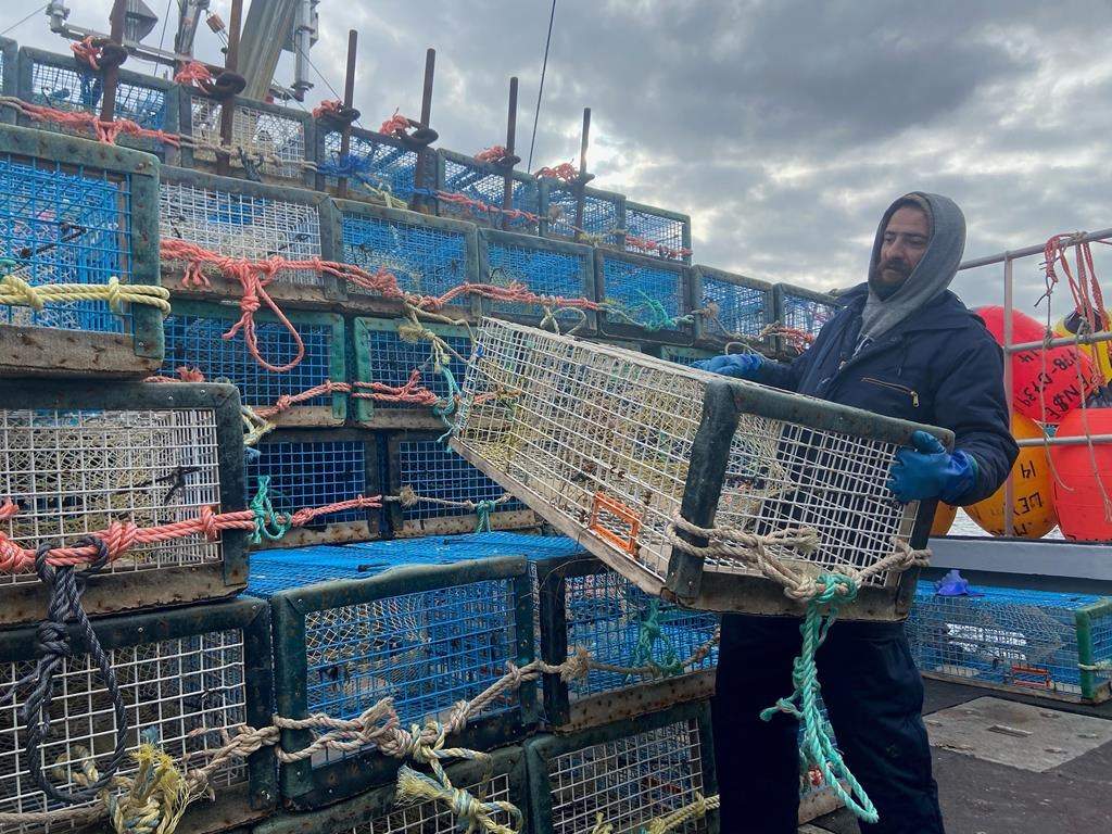 Lex Brukovskiy, a Nova Scotia lobster fisherman from Meteghan, N.S., who spent his childhood in Ukraine, has returned to the war-ravaged nation with funds to assist refugees and children. The fisherman said in an interview from Lviv that despite air raid sirens breaking up his sleep, he’s relieved to be in Ukraine assisting, as he’d felt in Canada he wasn’t able to ensure funds could reach those most in need. Brukovskiy is shown loading traps in preparation for Lobster Fishing Area 34 opening day in Meteghan, N.S. on Monday Nov. 30, 2020. 