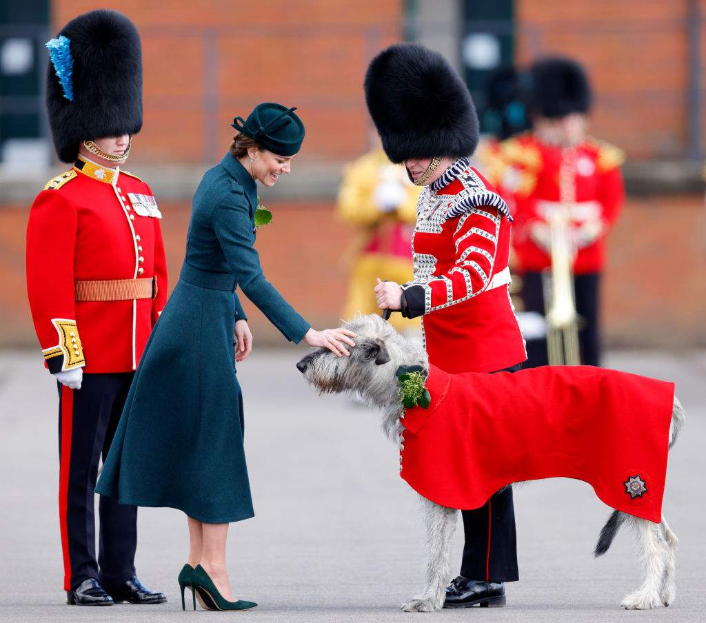 Kate Middleton presents a sprig of shamrock to an Irish Wolf Hound