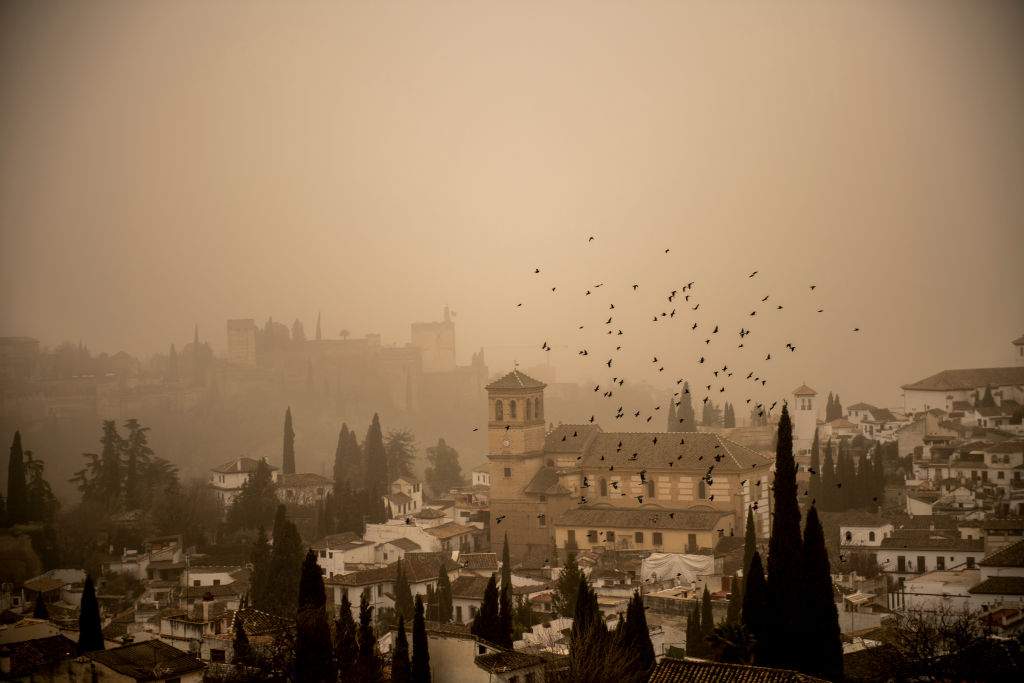 Some birds fly through the Albaicin neighborhood with the Alhambra in the background blurred by the Saharan dust