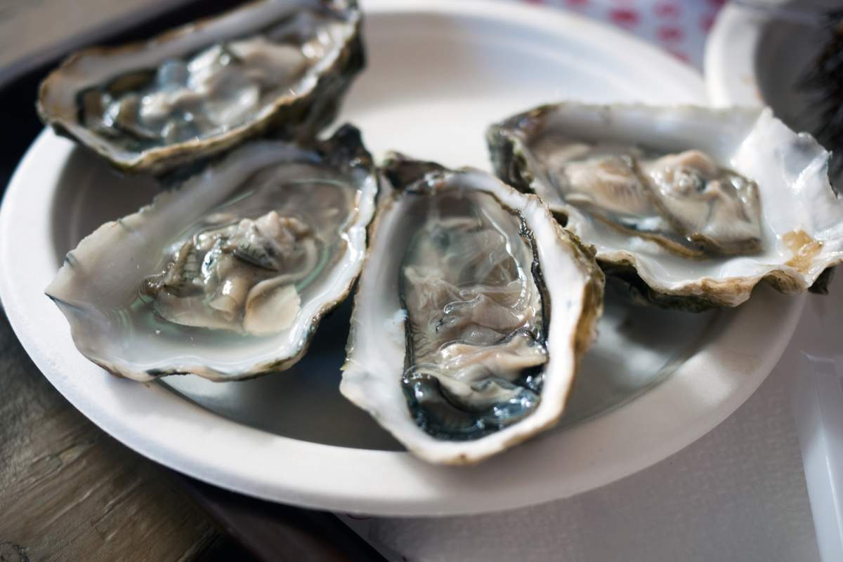 Oysters served on a plate at restaurant.