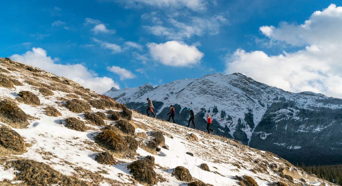 Jasper Tour Company