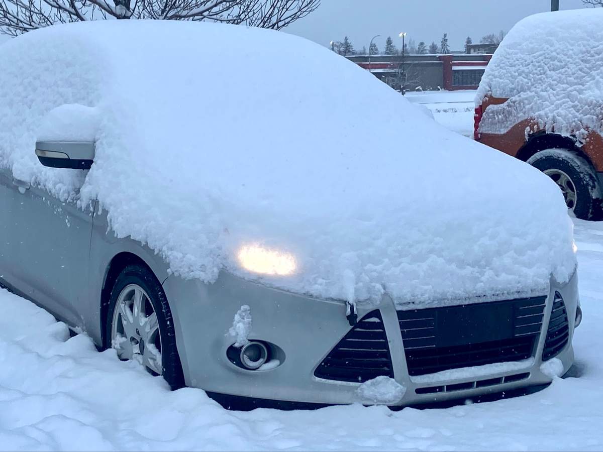 A fresh blanket of snow in Edmonton Friday, March 4, 2022.