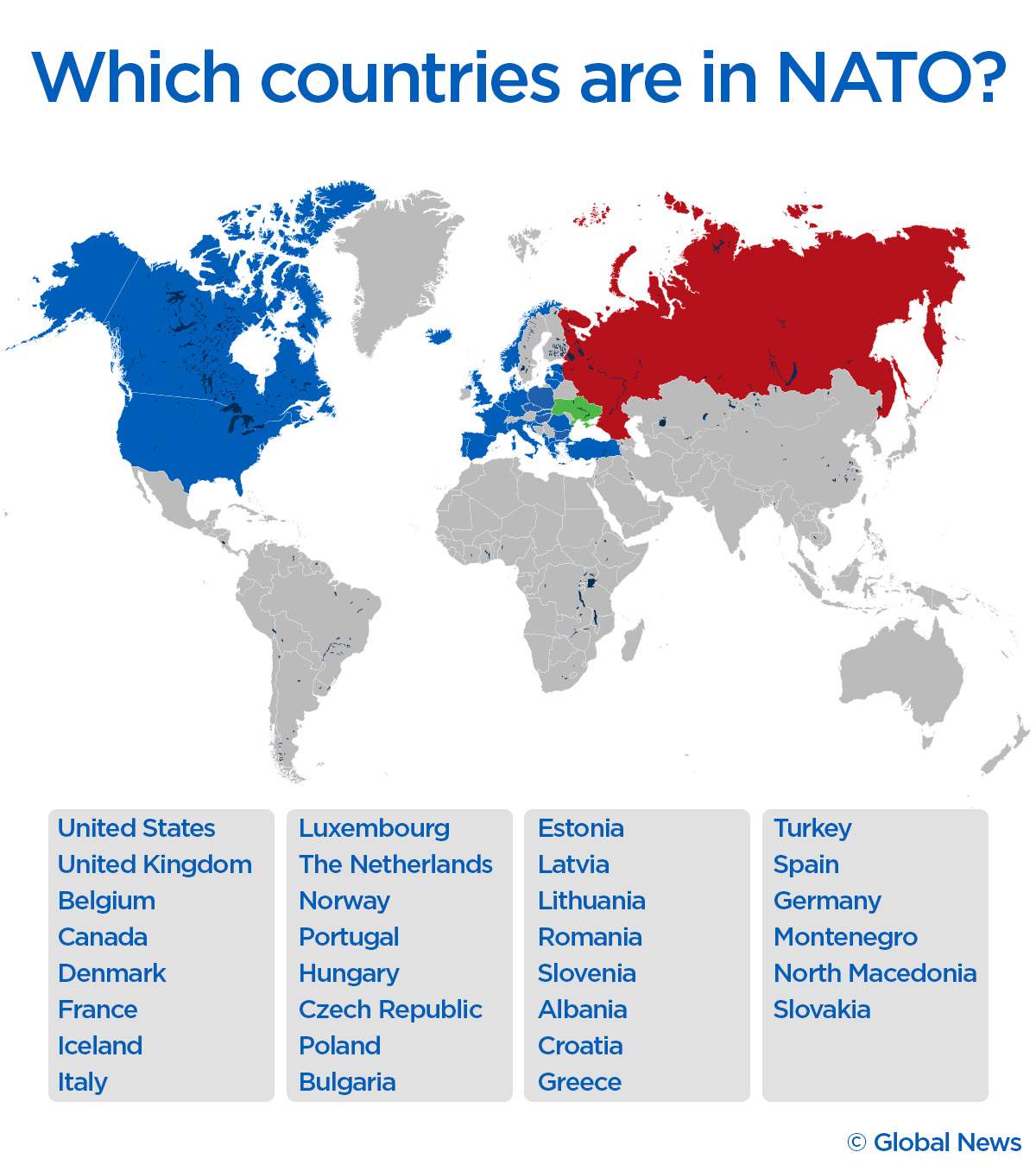 Thirty countries, including Canada, make up the North Atlantic Treaty Organization (NATO). Global News