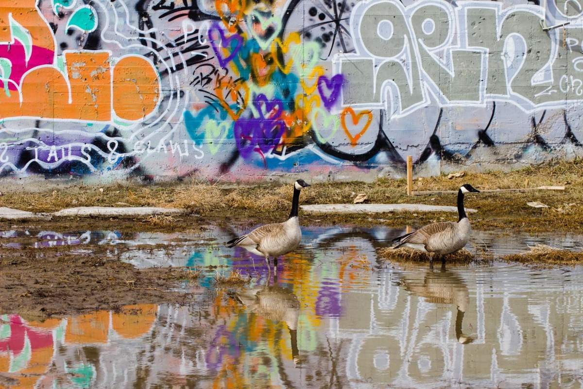 The March 31 Your Saskatchewan photo of the day was taken by Corina Maelde in Moose Jaw.
