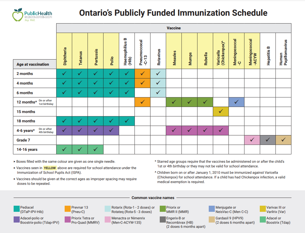 12,000 Wellington-Dufferin-Guelph students behind on immunization schedule: public health - image
