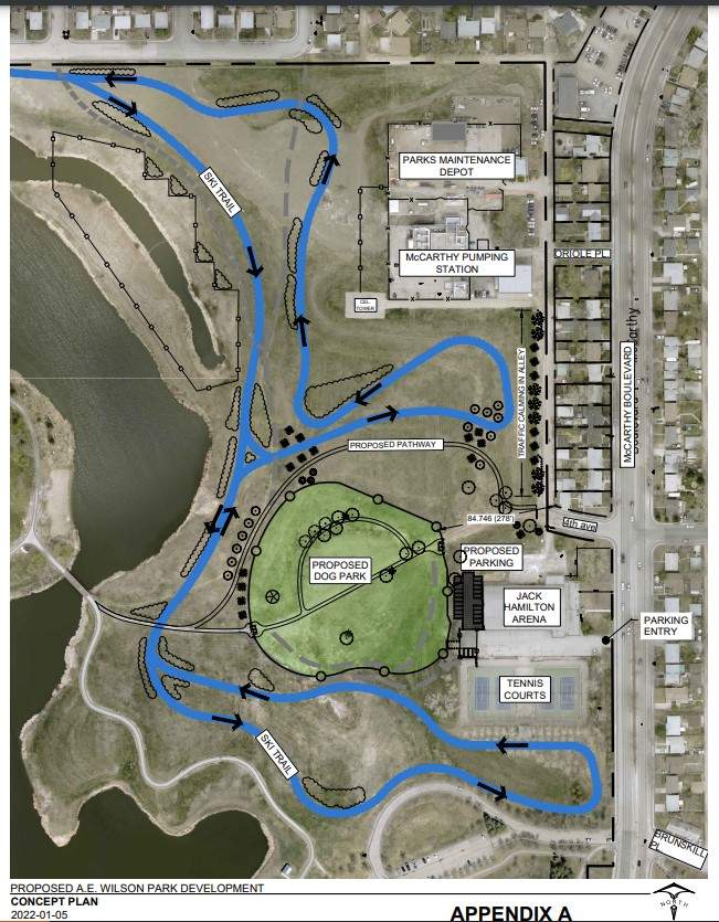 The proposed off-leash dog park for A.E. Wilson Park would be set in behind the Jack Hamilton Arena.