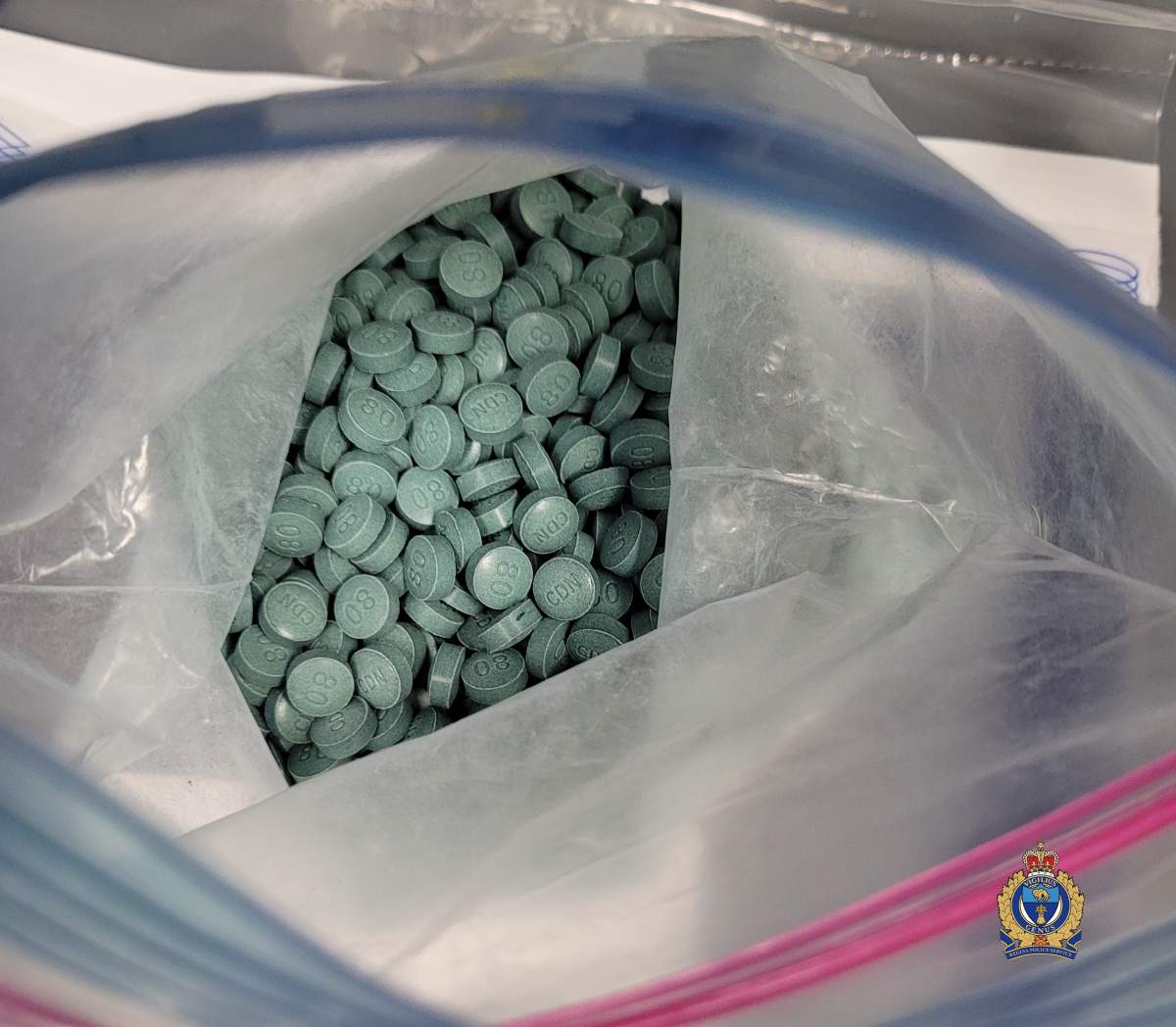 Regina police charge Calgary man with fentanyl trafficking - image