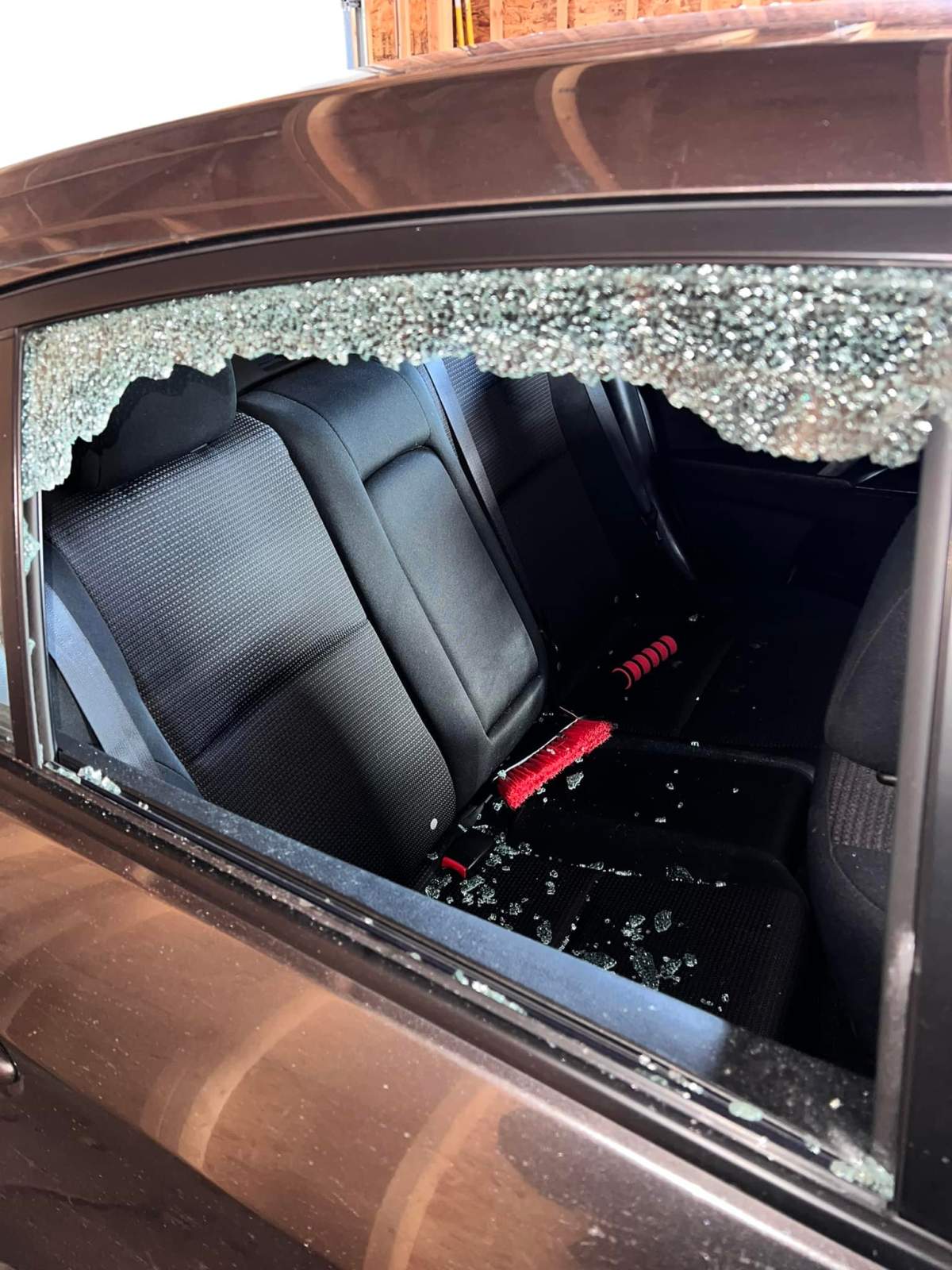 The windows of Paige Van Geel's car were smashed while she was working out at a Calgary gym in February 2022.