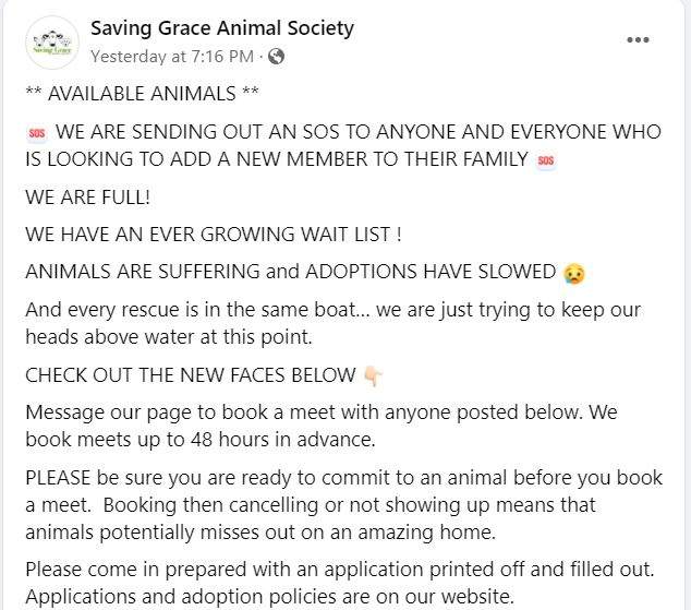 saving grace rescue
