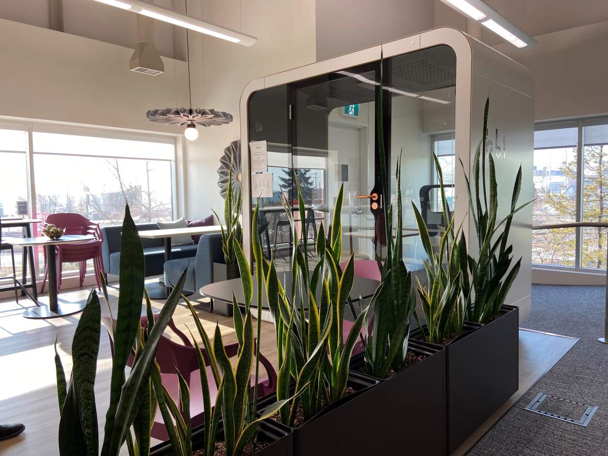 Private pods for quiet meetings.