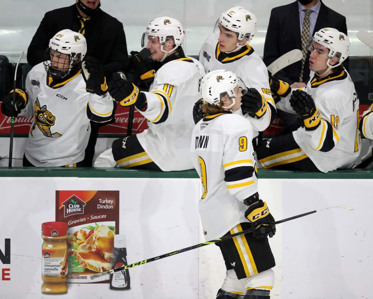 Nolan Dann celebrates a goal at the Sarnia Sting bench.
