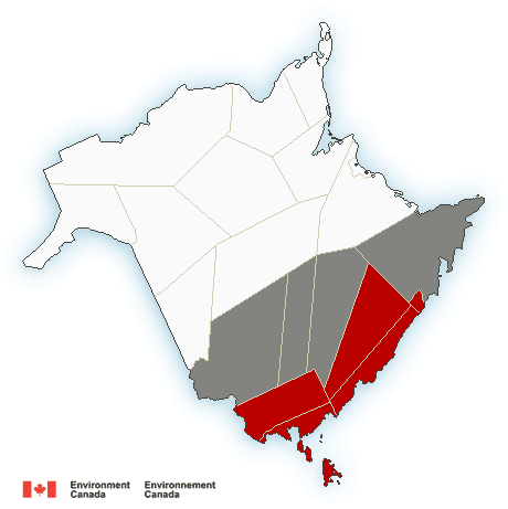 Weather warnings (red) and statements (grey) are seen on an Environment Canada map of New Brunswick.