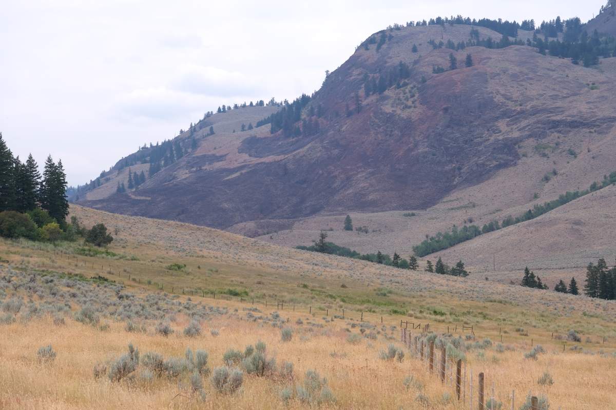 Another view of the land that Nature Trust of BC would like to add to the White Lake Basin Biodiversity Ranch.