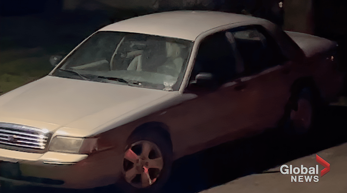 A vehicle on Percy Street in Colborne was found with gunshot holes in the windshield.