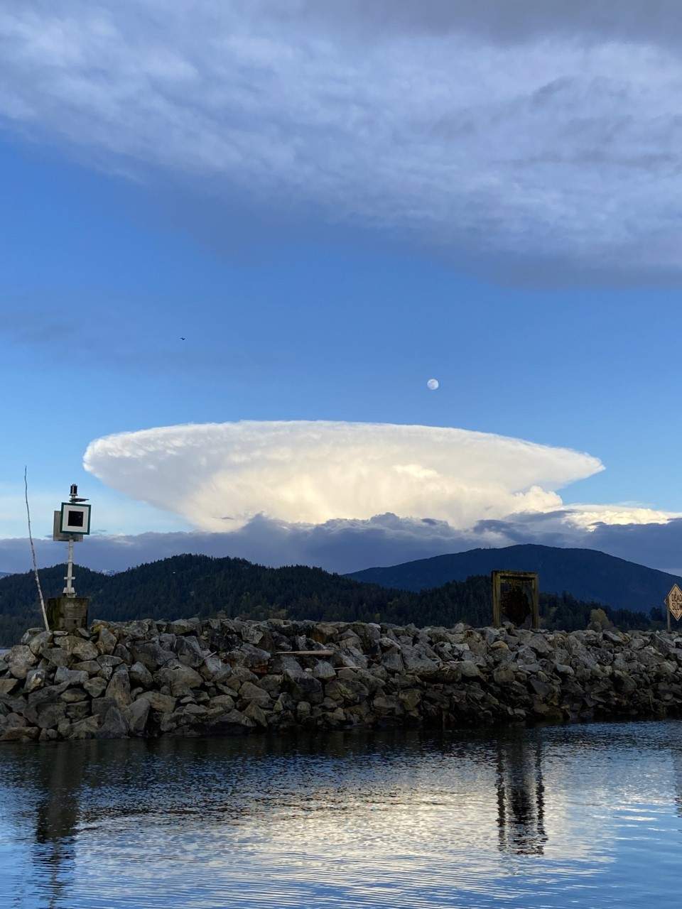 Taken at Gibsons Marina, Sunshine Coast