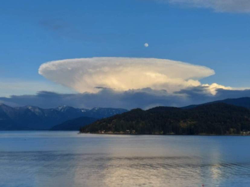 Taken from Gibsons.