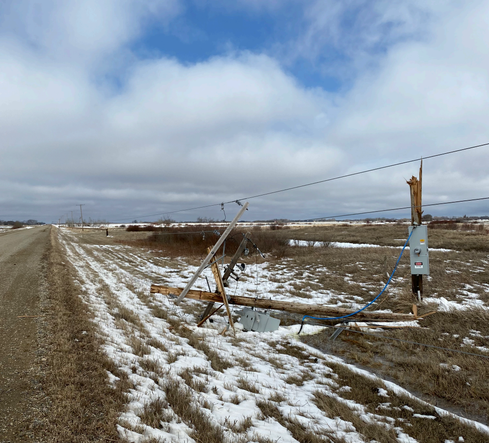 Fallen power lines after spring storm