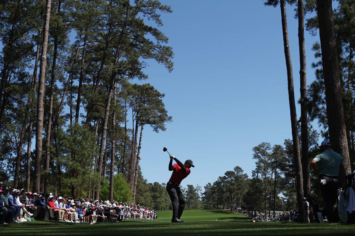 tiger woods